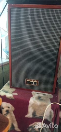 Проигрыватель пластинок