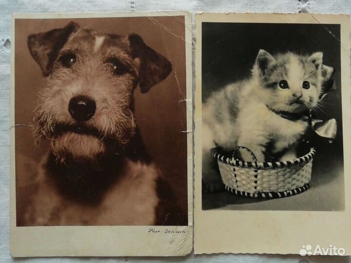 Немецкие открытки, 40-50х годов. Винтаж