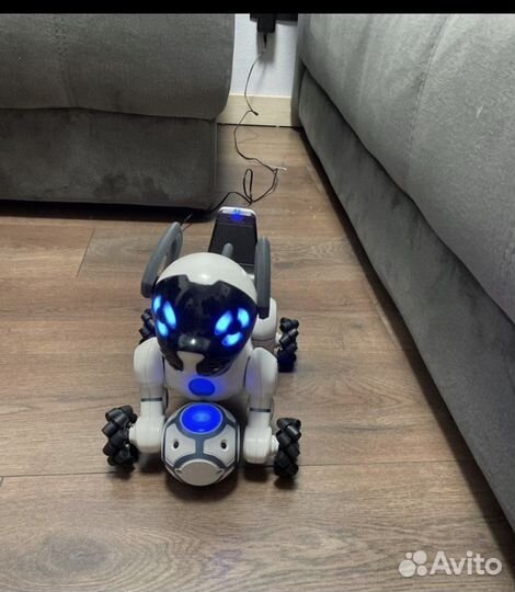 Робот собака Чип