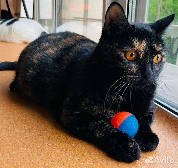 Виктория ищет свою семью