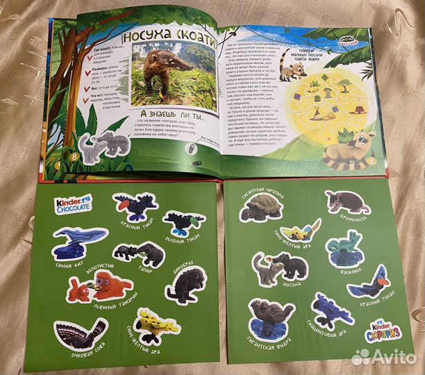 Книга kinder Natoons