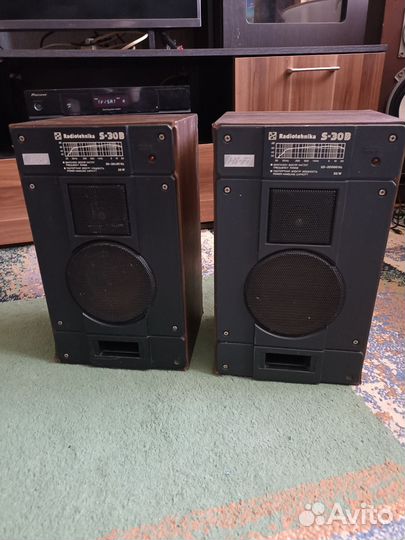 Колонки radiotehnika s 30b