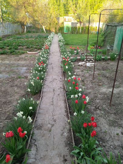 Участок 5,32 га (СНТ, ДНП)