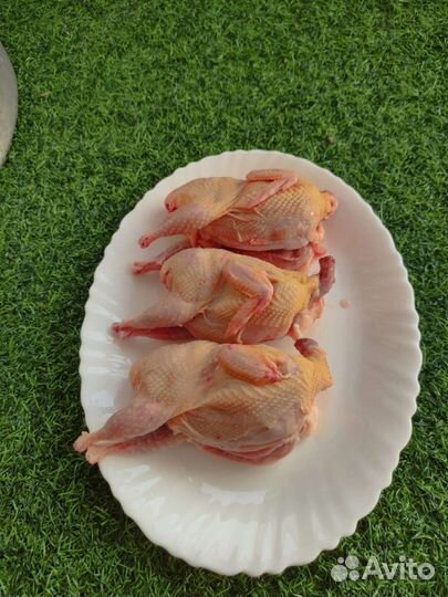 Мясо перепелов