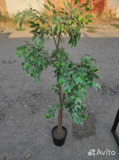 IKEA fejka дерево искусственное