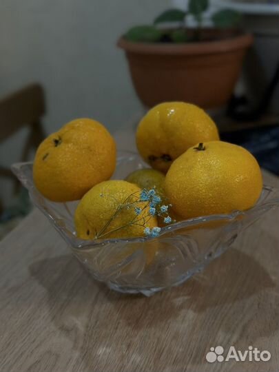 Ваза для фруктов и конфет