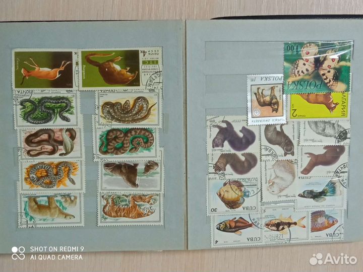 Альбом с марками