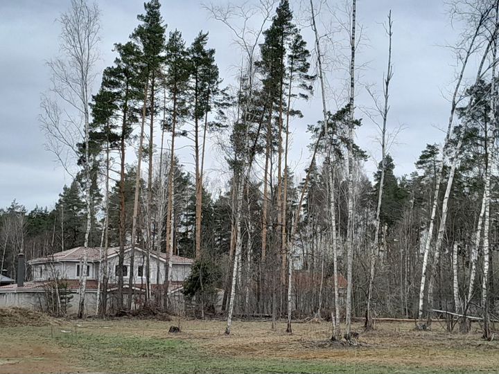 Участок 9 сот. (СНТ, ДНП)