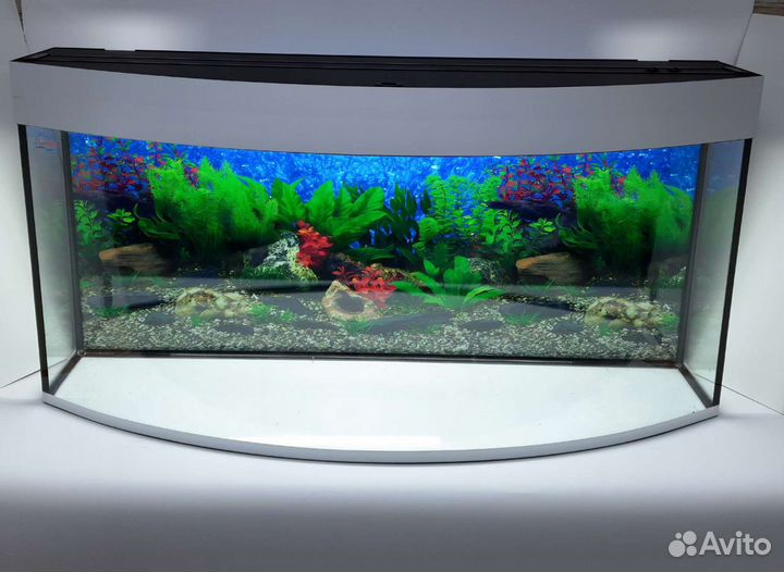 Аквариум на заказ