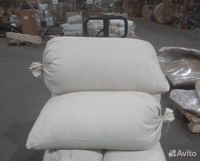 Семена / Сосна обыкновеная