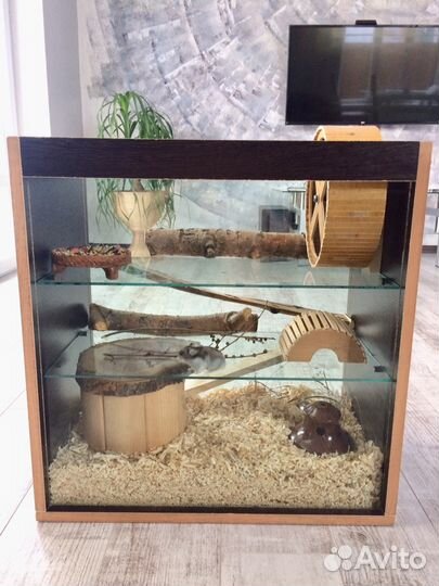 Домик для мелких грызунов новый