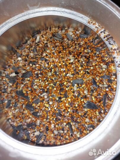 Корм для Канарейки и кенар