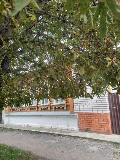 Дом 90 м² на участке 13 сот.