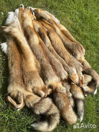 Шкура лисы выделанной