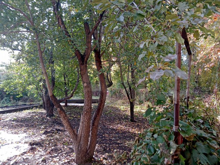 Участок 7,6 сот. (СНТ, ДНП)