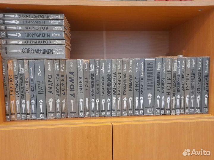 Книги серии жзл