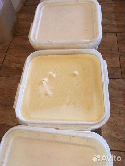 Мед Хлопковый (Куботейнер 30кг, 13кг) опт