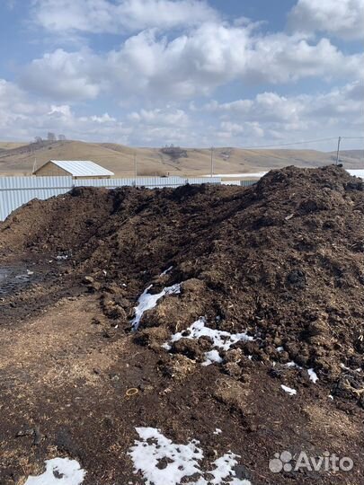 Перегной, чернозем, навоз, опилки