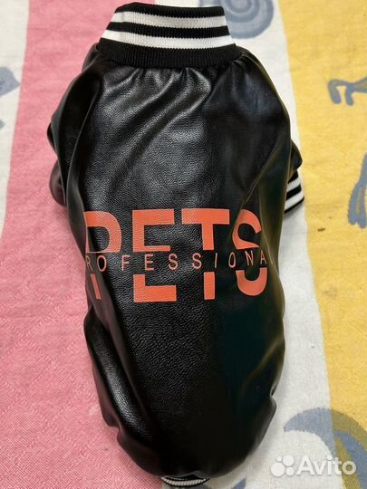 Одежда для собак