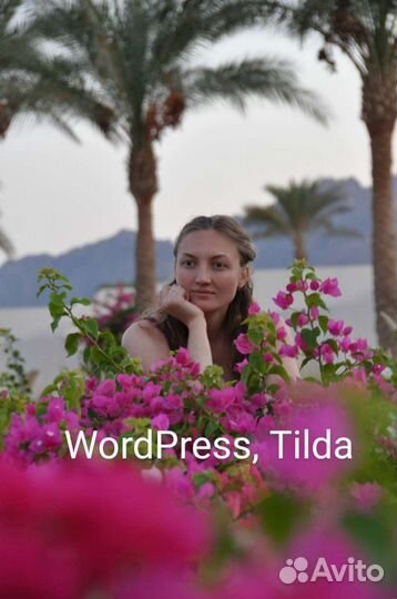 Сайт на WordPress, Tilda, Администратор сайта