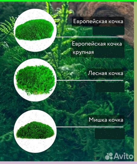 Стабилизированный мох ковер ягель кочка