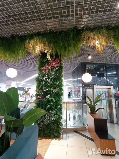 Вертикальное озеленение