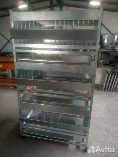 Клетки для бройлеров, несушек и брудер для цыплят