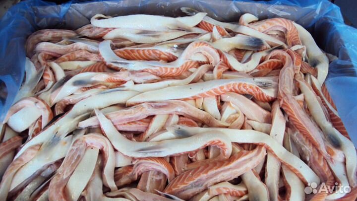 Брюшки семги