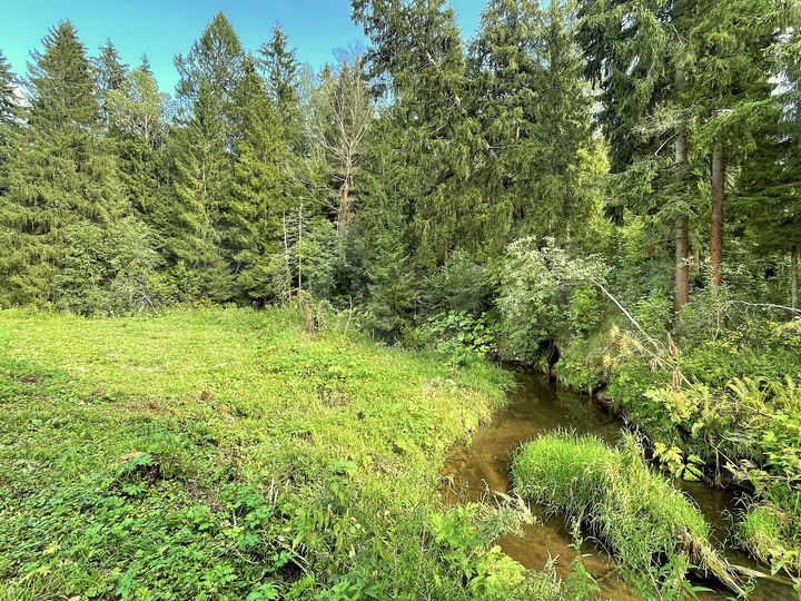 Участок 6 сот. (ИЖС)