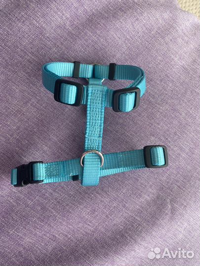 Одежда, шлейка, ошейник для собак