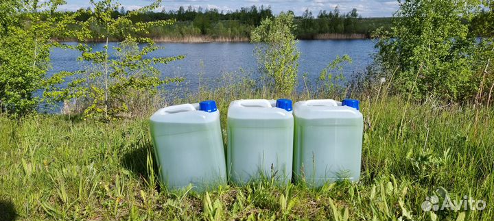 Хлорелла для пруда