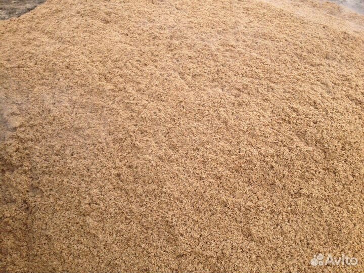 Барда кормовая