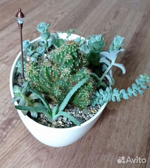 Микро садик