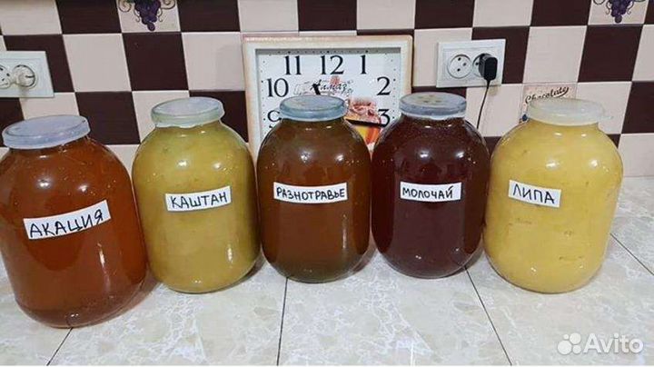 Разнотравье Мед