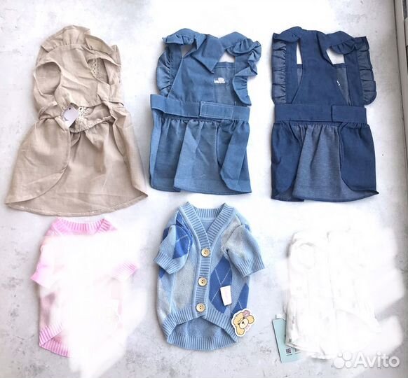 Одежда для собак и кошек новая летняя