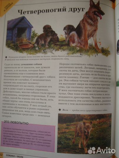 Книга Мир животных