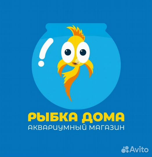 Аквариумные рыбки улитки растения креветки магазин