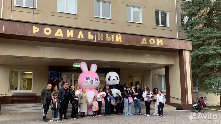 Аниматоры/Ростовые куклы/Аэрокуклы/Панда Зайка Кот