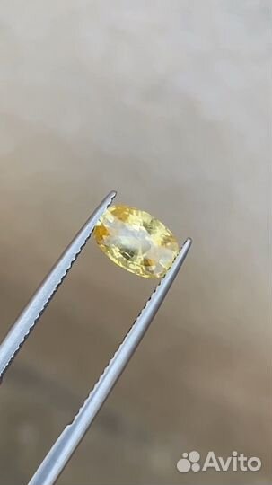 Сапфир без облагораживания 1.62 карат желтый овал