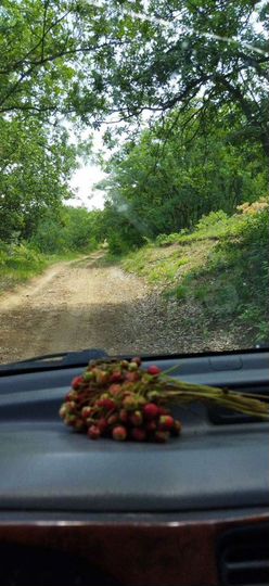 Участок 1,1 га (СНТ, ДНП)