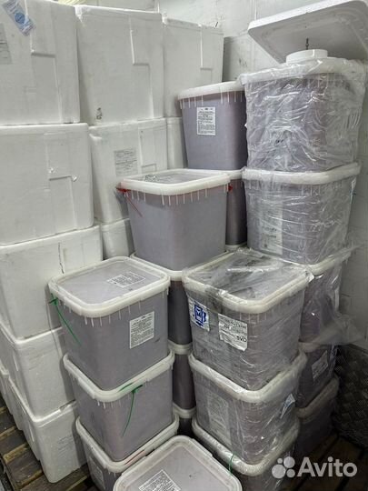 Икра форели оптом