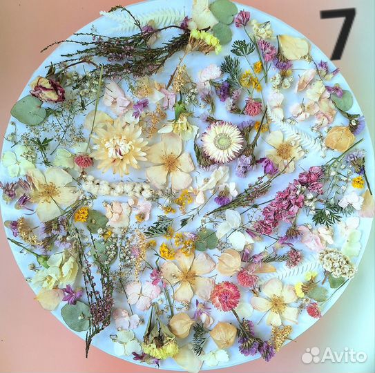 Большой набор объемных сухоцветов для творчества