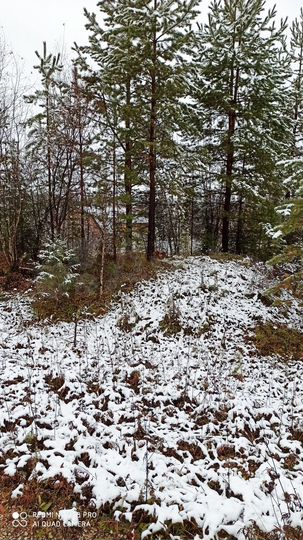 Участок 12 га (ИЖС)