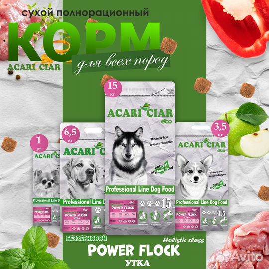 Сухой корм для домашних животных Acari Ciar