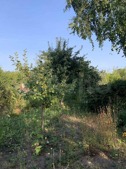 Участок 8,5 сот. (СНТ, ДНП)