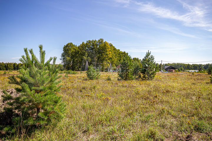 Участок 10 сот. (ИЖС)