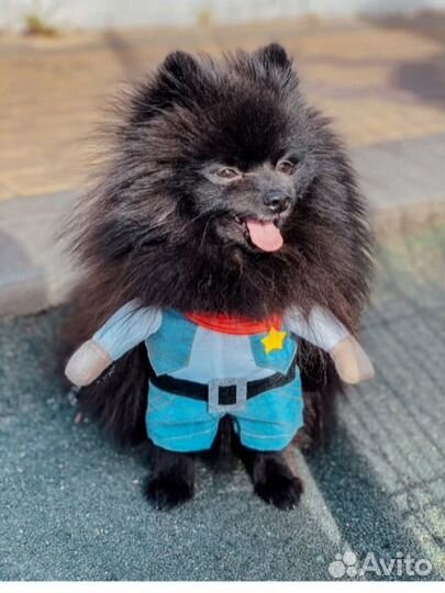 Костюм карнавальный для животных