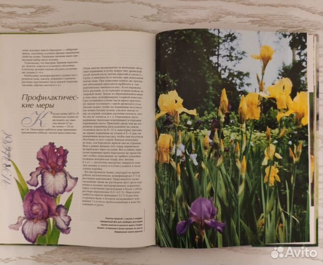 Книга Ирисы, Шелковые цветы, Рабочие таблицы СССР