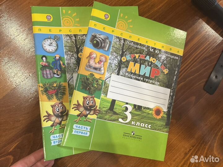 Рабочая тетрадь по окружающему миру 3 класс