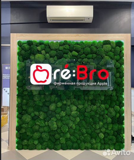 Стабилизированный мох производство премиум